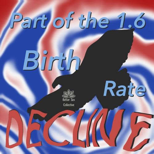 Birth Rate Decline (Blue) Bumper Magnet
