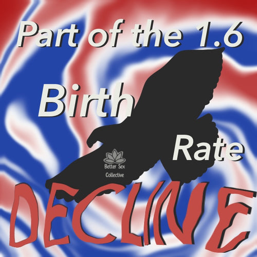 Birth Rate Decline (White) Bumper Magnet